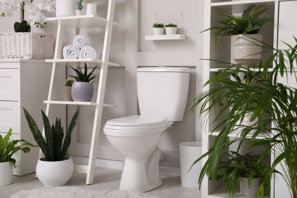 Cost of Toilet Repair in Haverhill